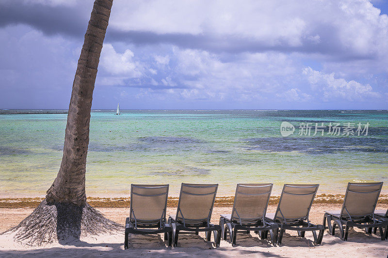 沙滩椅子下的棕榈树在Saona - Punta Cana，蓝绿色的加勒比海